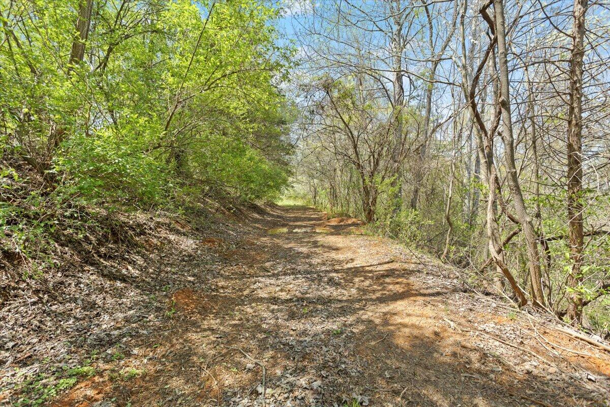 489 Arch Mill Road Buchanan, VA 24066 - Photo 59 of 66 61-489 Arch Mill Rd._61