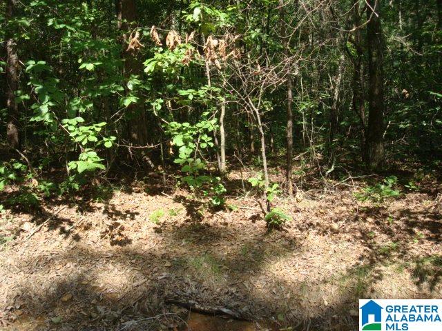 Evans Road Piedmont, AL 36272 - Photo 5 of 8