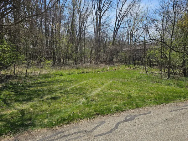$14,900 | V/l Webber Street, Ionia, MI 48846