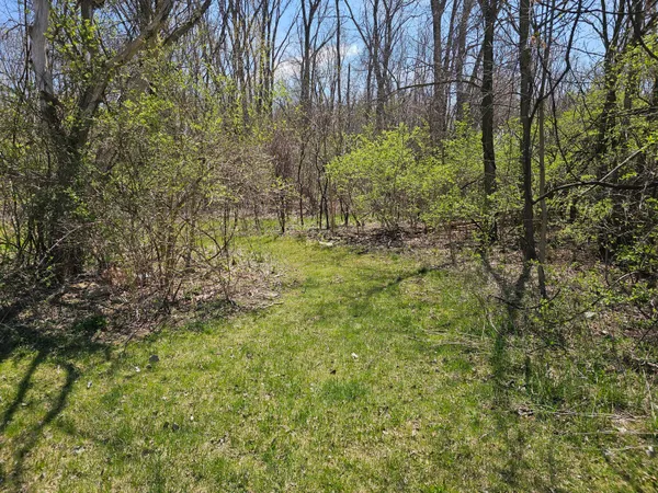 $14,900 | V/l Webber Street, Ionia, MI 48846