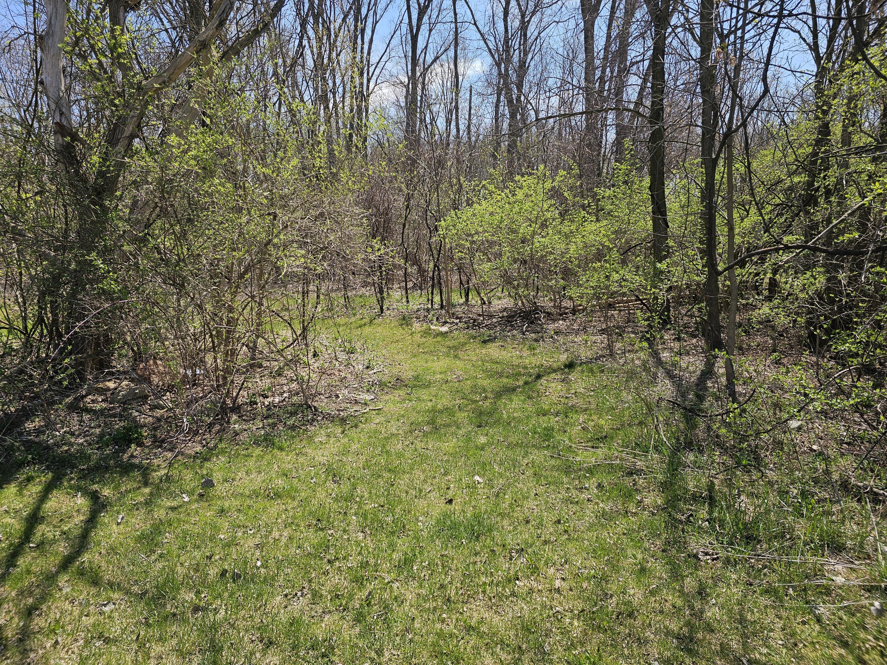 V/l Webber Street Ionia, MI 48846 - Photo 3 of 14 20250424_135826