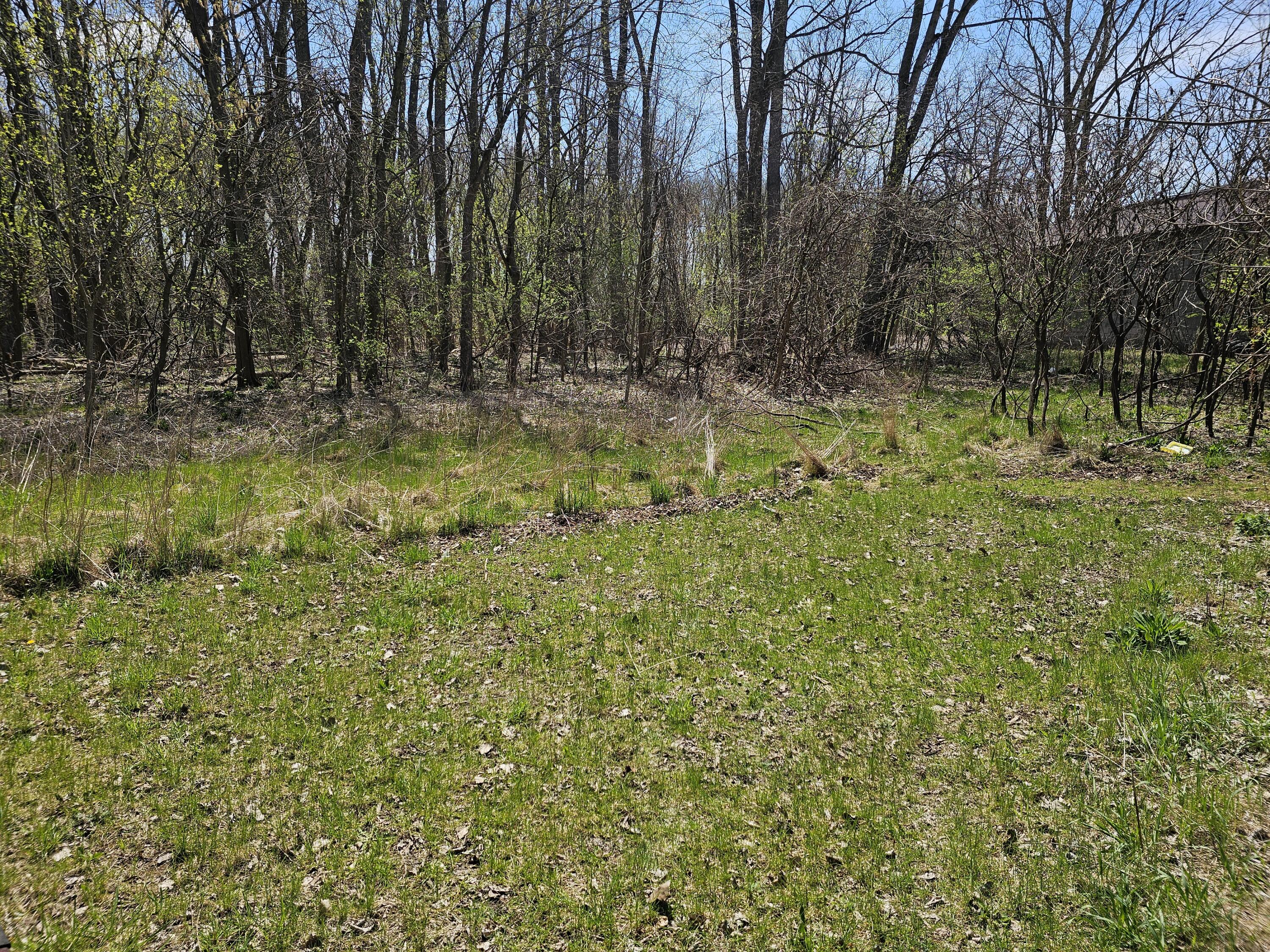 V/l Webber Street Ionia, MI 48846 - Photo 4 of 14 20250424_135856