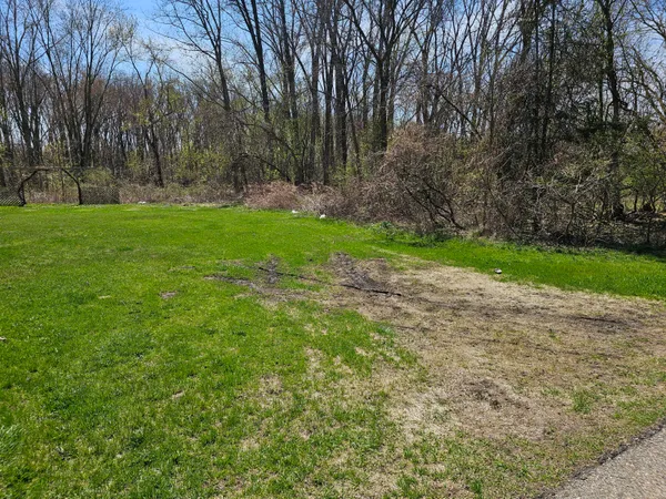 $14,900 | V/l Webber Street, Ionia, MI 48846