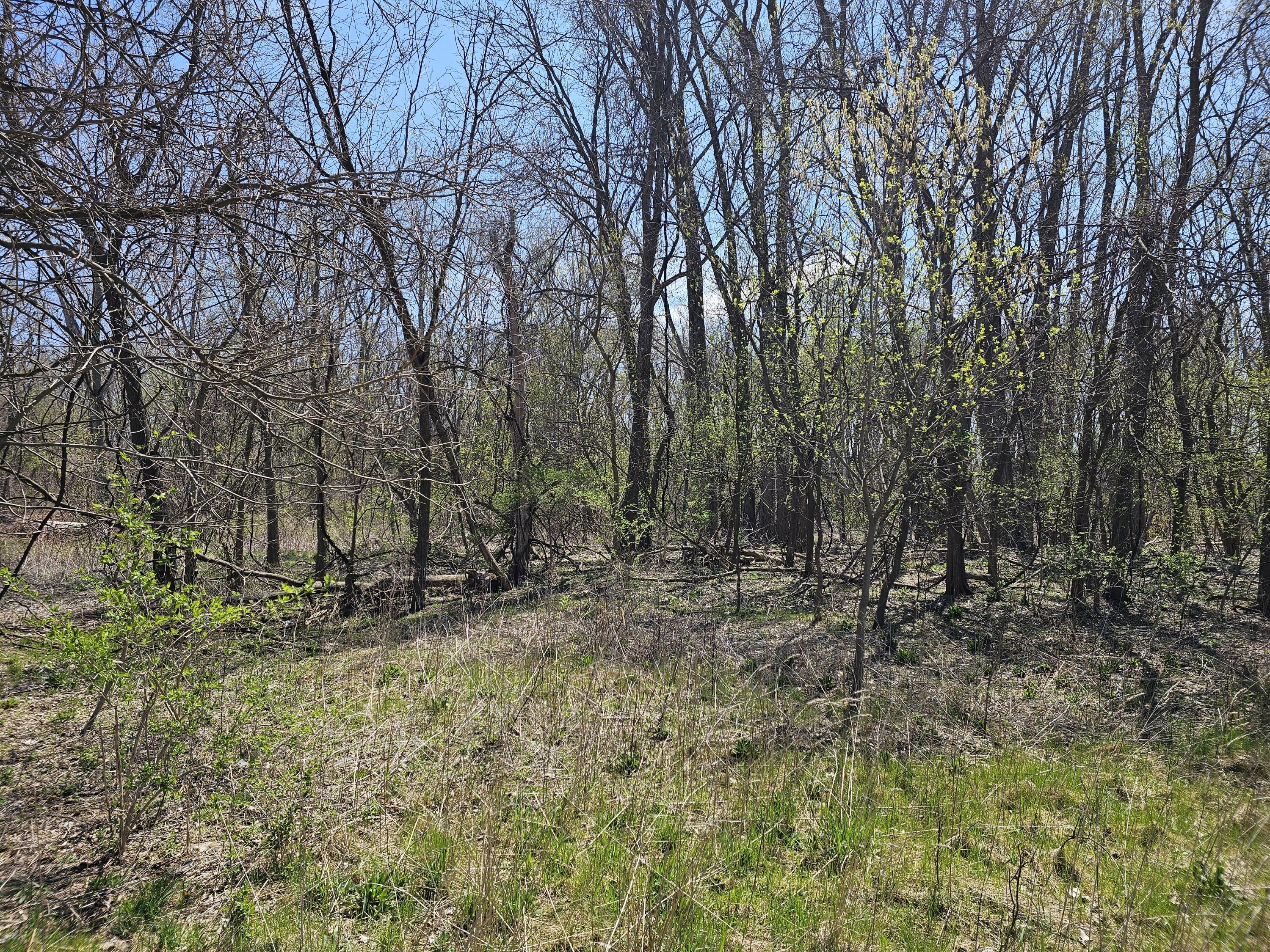 V/l Webber Street Ionia, MI 48846 - Photo 7 of 14 20250424_135903