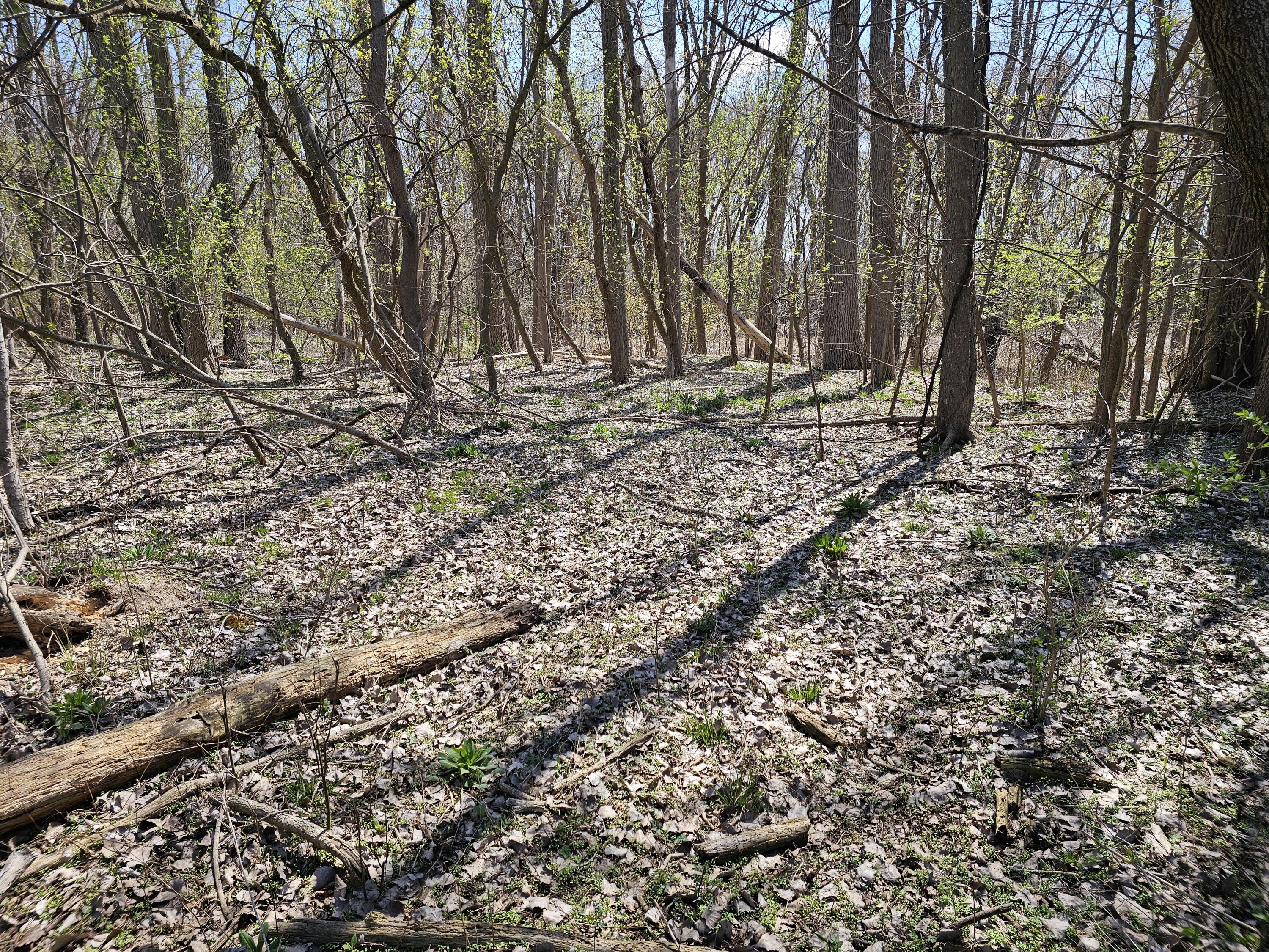 V/l Webber Street Ionia, MI 48846 - Photo 8 of 14 20250424_135933