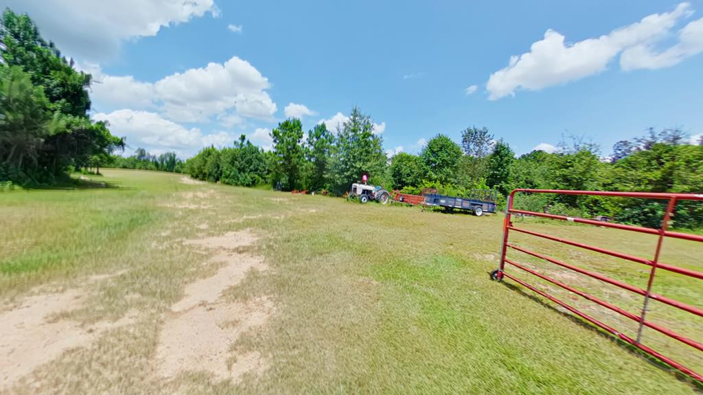 1138 Newman Road Harlem, GA 30814 - Photo 19 of 29