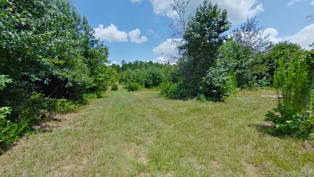 1138 Newman Road Harlem, GA 30814 - Photo 20 of 29