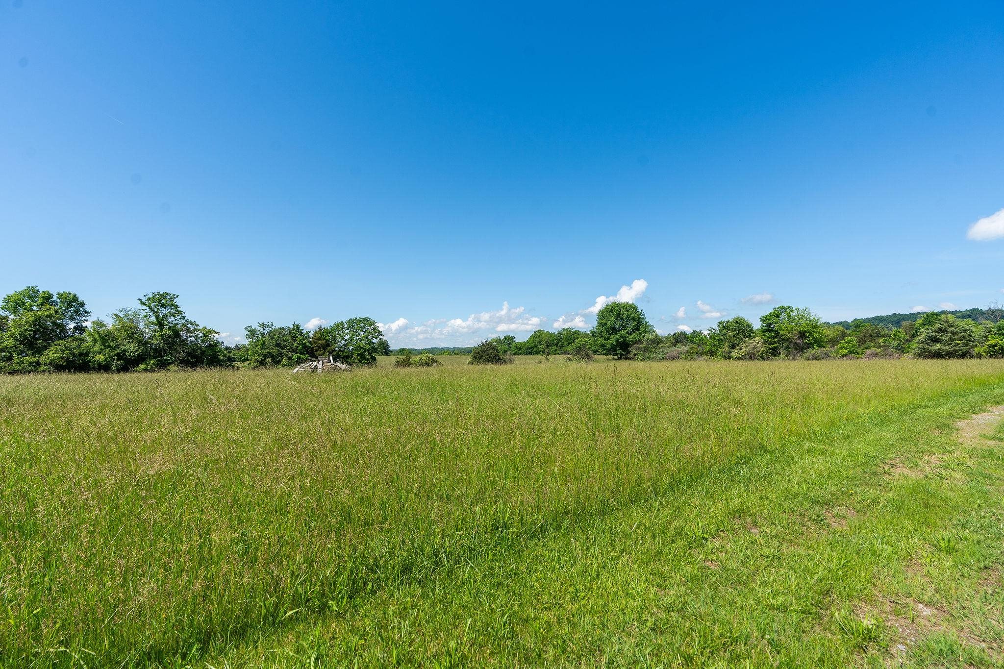 159 Buttermilk Road Mount Sidney, VA 24467 - Photo 46 of 75