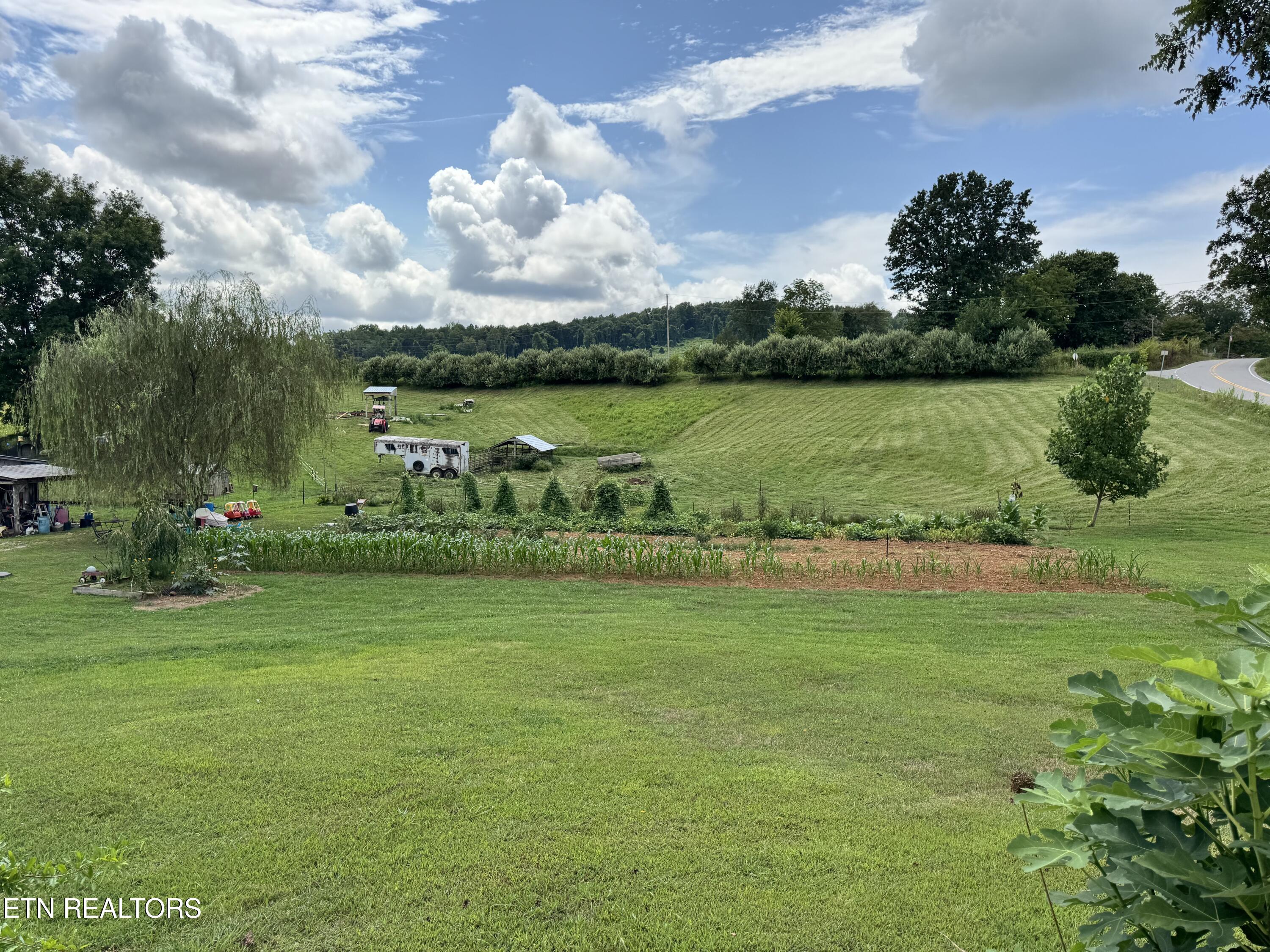 1820 Parker Road Pall Mall, TN 38577 - Photo 2 of 45 IMG_4390