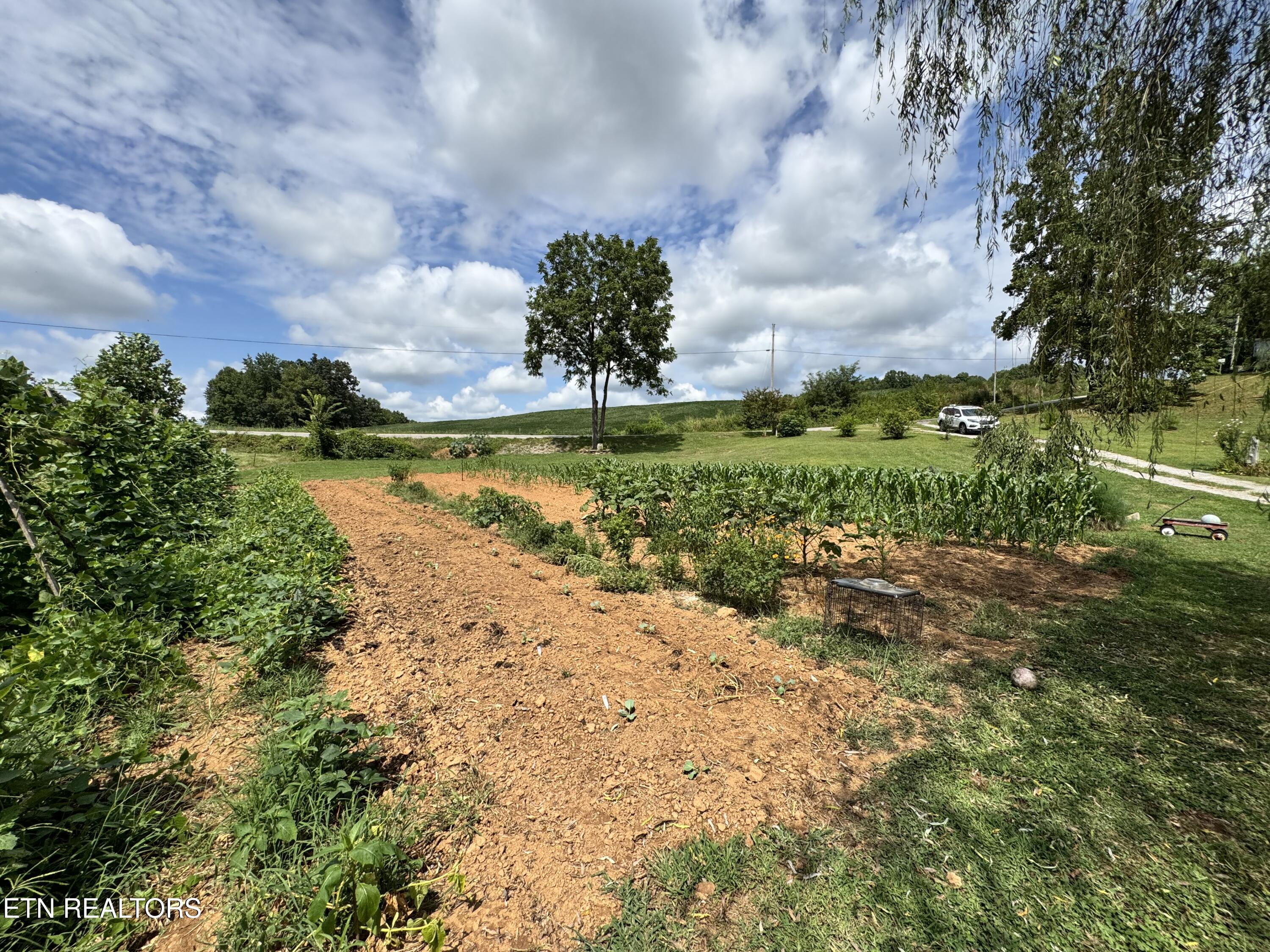 1820 Parker Road Pall Mall, TN 38577 - Photo 21 of 45 IMG_4411