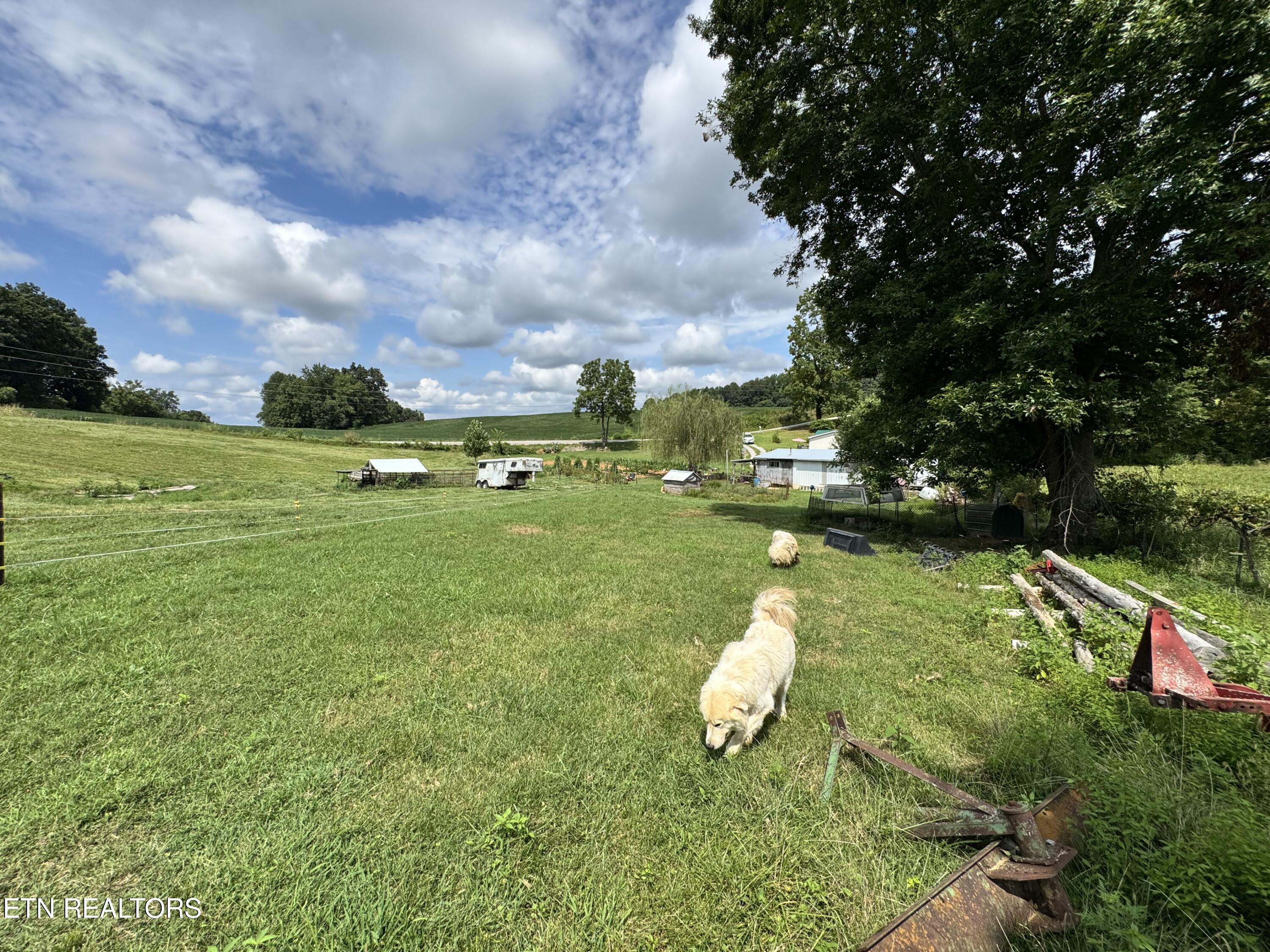 1820 Parker Road Pall Mall, TN 38577 - Photo 31 of 45 IMG_4401