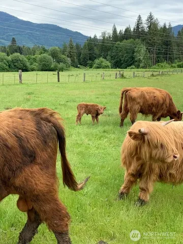 $625,000 | 22750 Highway 530, Darrington, WA 98241