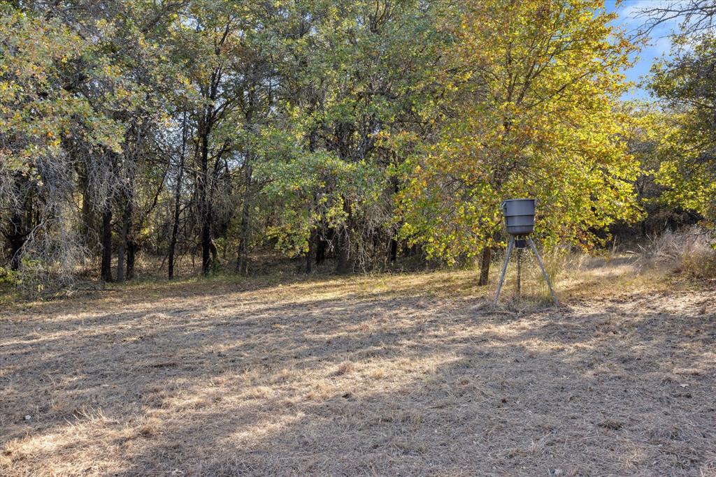 2500 Leech Road Poolville, TX 76487 - Photo 24 of 40 a view of dirt yard with a trees