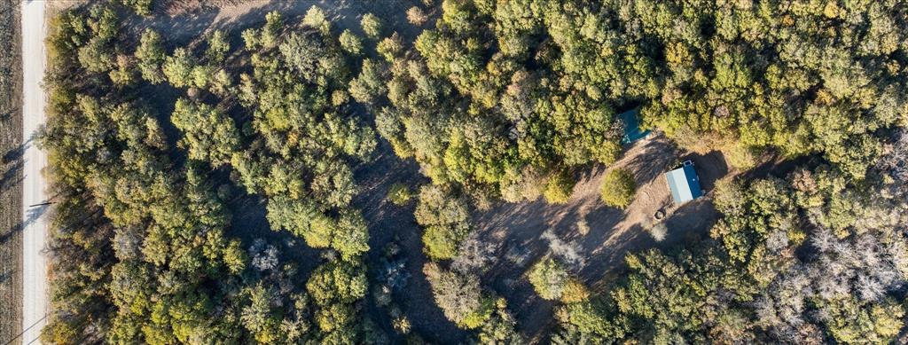 2500 Leech Road Poolville, TX 76487 - Photo 38 of 40 a view of a tree