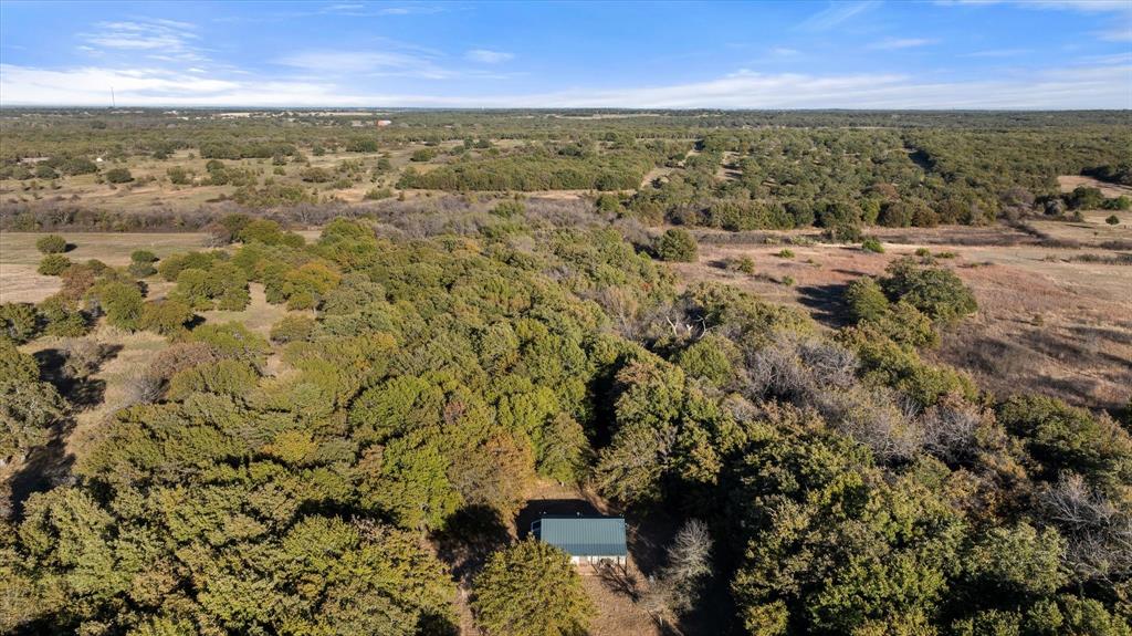 2500 Leech Road Poolville, TX 76487 - Photo 40 of 40 view of city and mountain