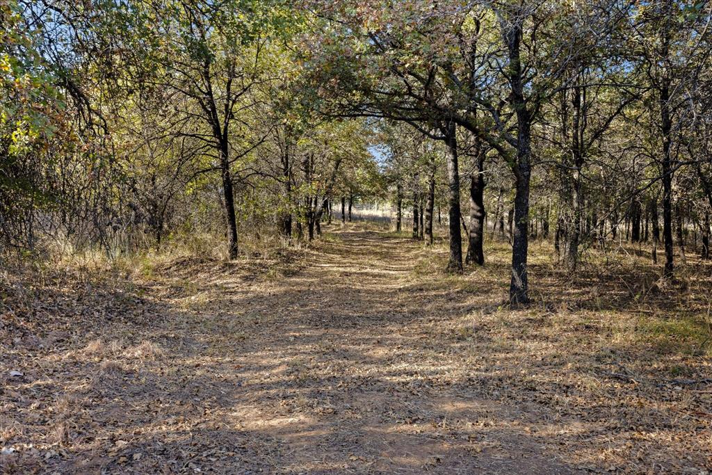 2500 Leech Road Poolville, TX 76487 - Photo 4 of 40 a view of open space with trees