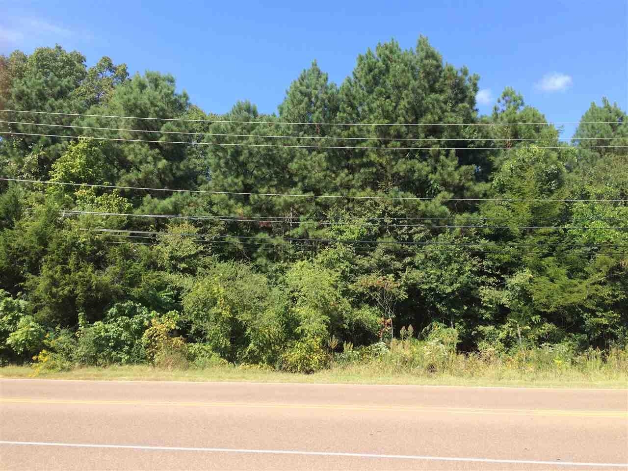 Old Brownsville Road Bartlett, TN 38135 - Photo 9 of 13