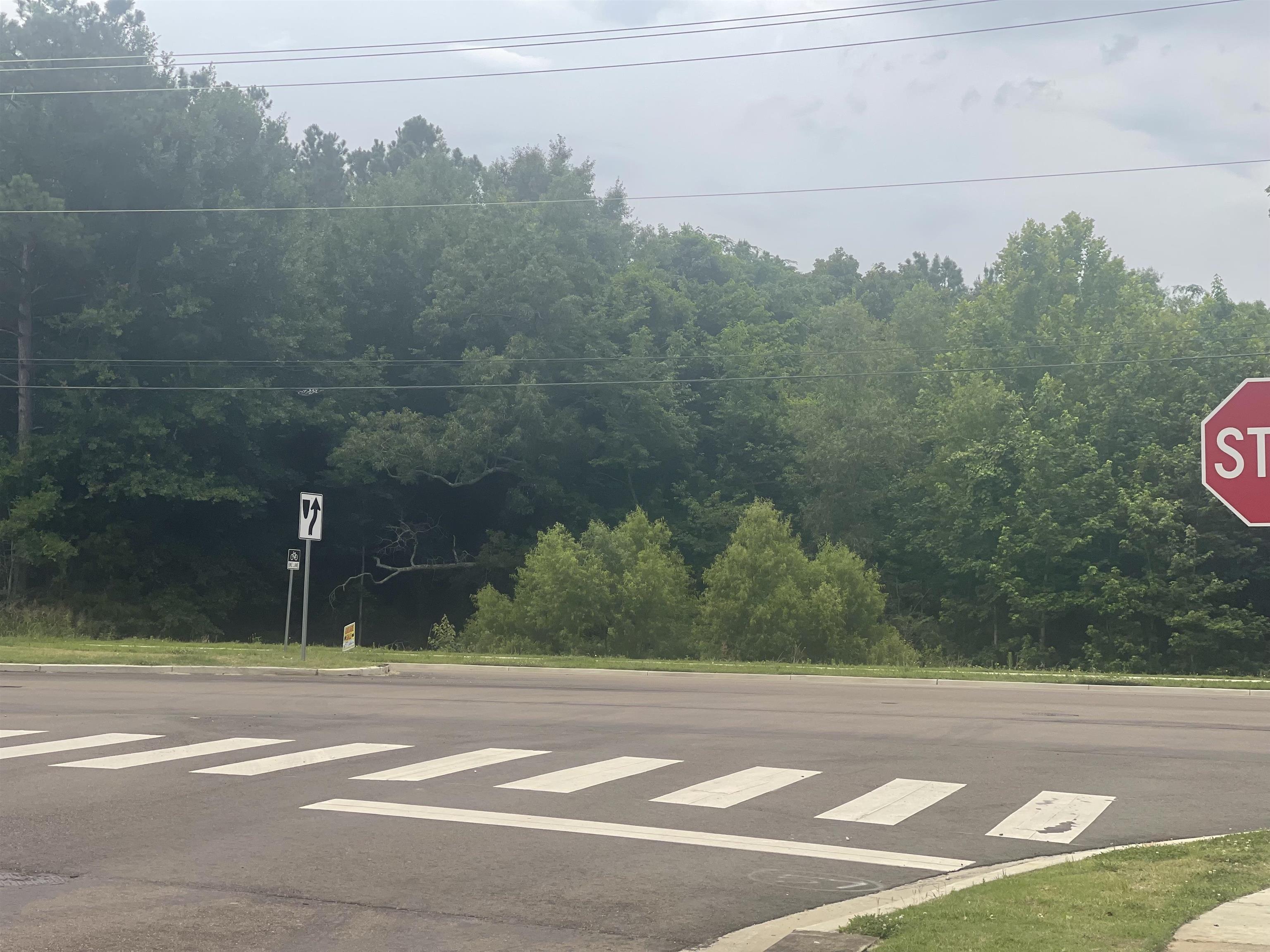 Old Brownsville Road Bartlett, TN 38135 - Photo 10 of 13