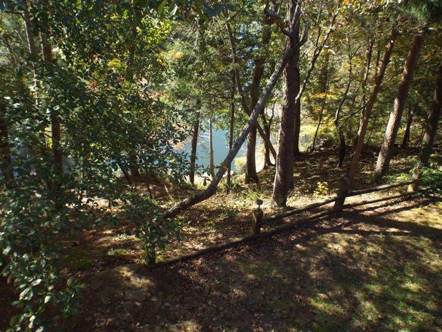 222 Rivers Edge Lane Benton, TN 37307 - Photo 22 of 59 222 Rivers Edge DSCF6156 waterfront