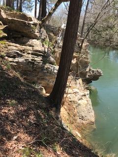222 Rivers Edge Lane Benton, TN 37307 - Photo 45 of 59 IMG_0255