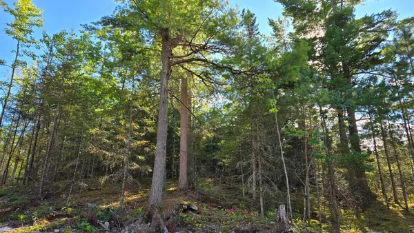 $274,900 | 13.7 Crane Lake Road, Crane Lake, MN 55725