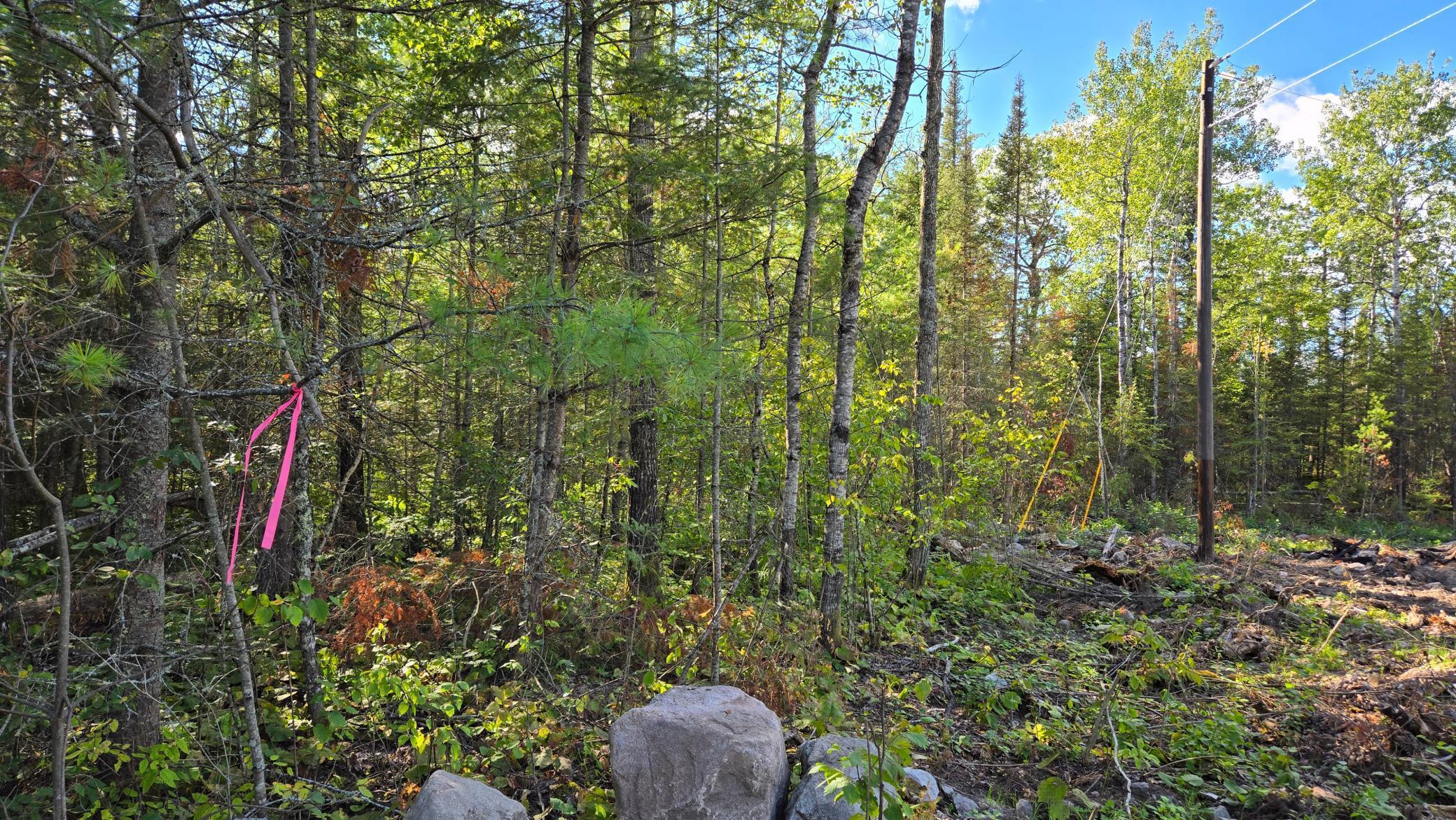 13.7 Crane Lake Road Crane Lake, MN 55725 - Photo 22 of 40