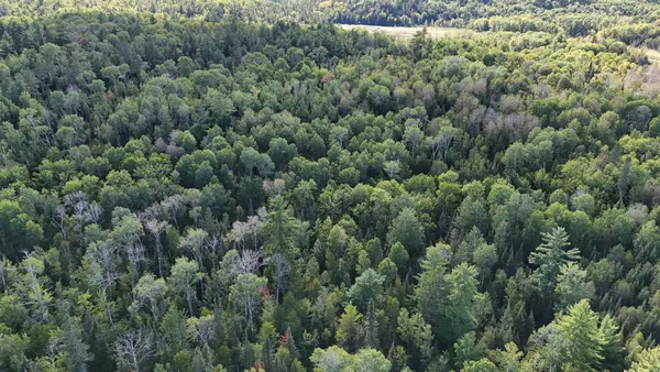 $274,900 | 13.7 Crane Lake Road, Crane Lake, MN 55725