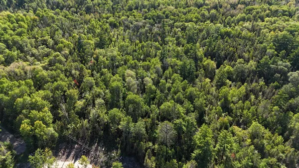 $274,900 | 13.7 Crane Lake Road, Crane Lake, MN 55725
