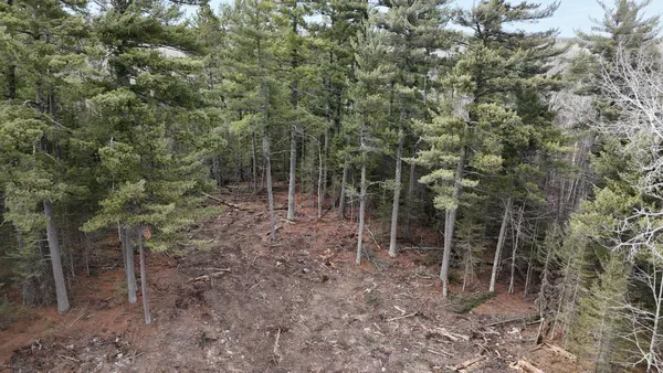 $274,900 | 13.7 Crane Lake Road, Crane Lake, MN 55725