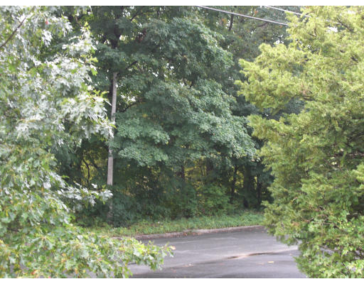 96 North Brook Road Springfield, MA 01119 - Photo 12 of 12