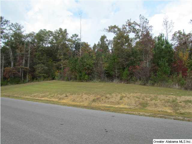 Brooke Lane Odenville, AL 35120 - Photo 2 of 4
