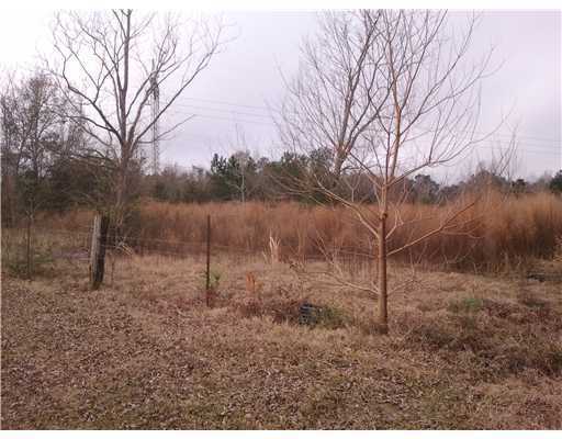 19162 Borzik Road Saucier, MS 39574 - Photo 11 of 11 Additional Photo