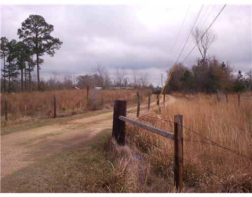 19162 Borzik Road Saucier, MS 39574 - Photo 2 of 11 Additional Photo