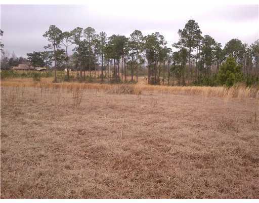 19162 Borzik Road Saucier, MS 39574 - Photo 10 of 11 Additional Photo