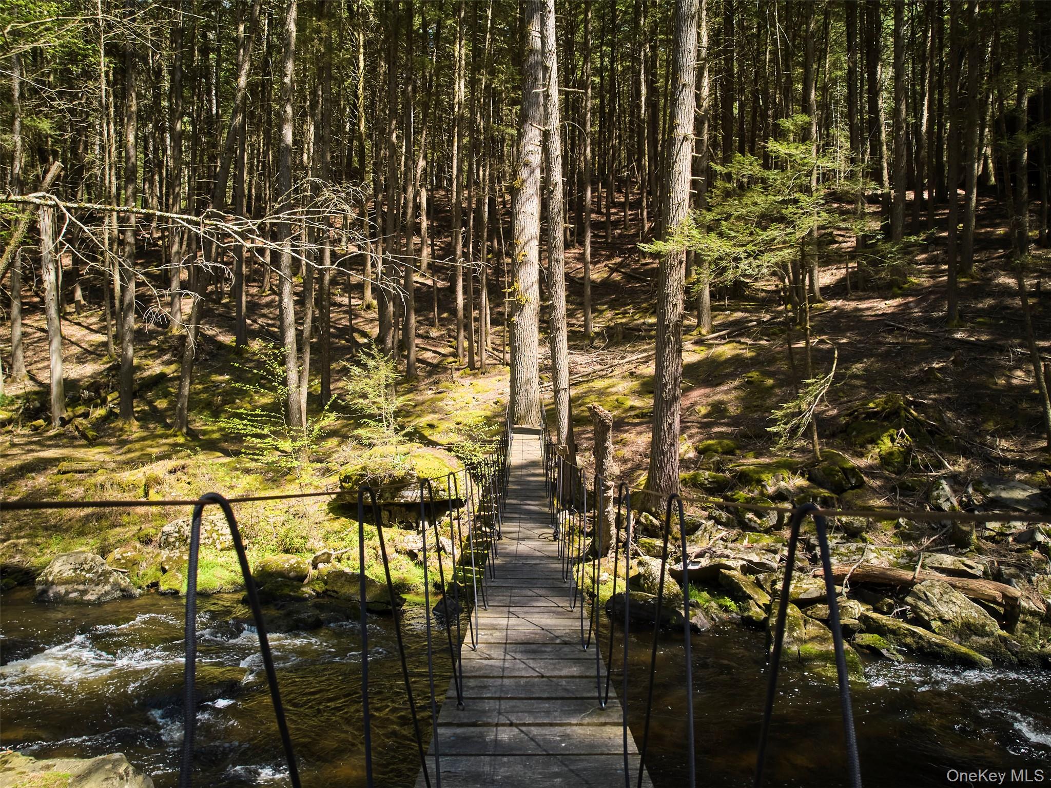 55 Woods Road Barryville, NY 12719 - Photo 42 of 50