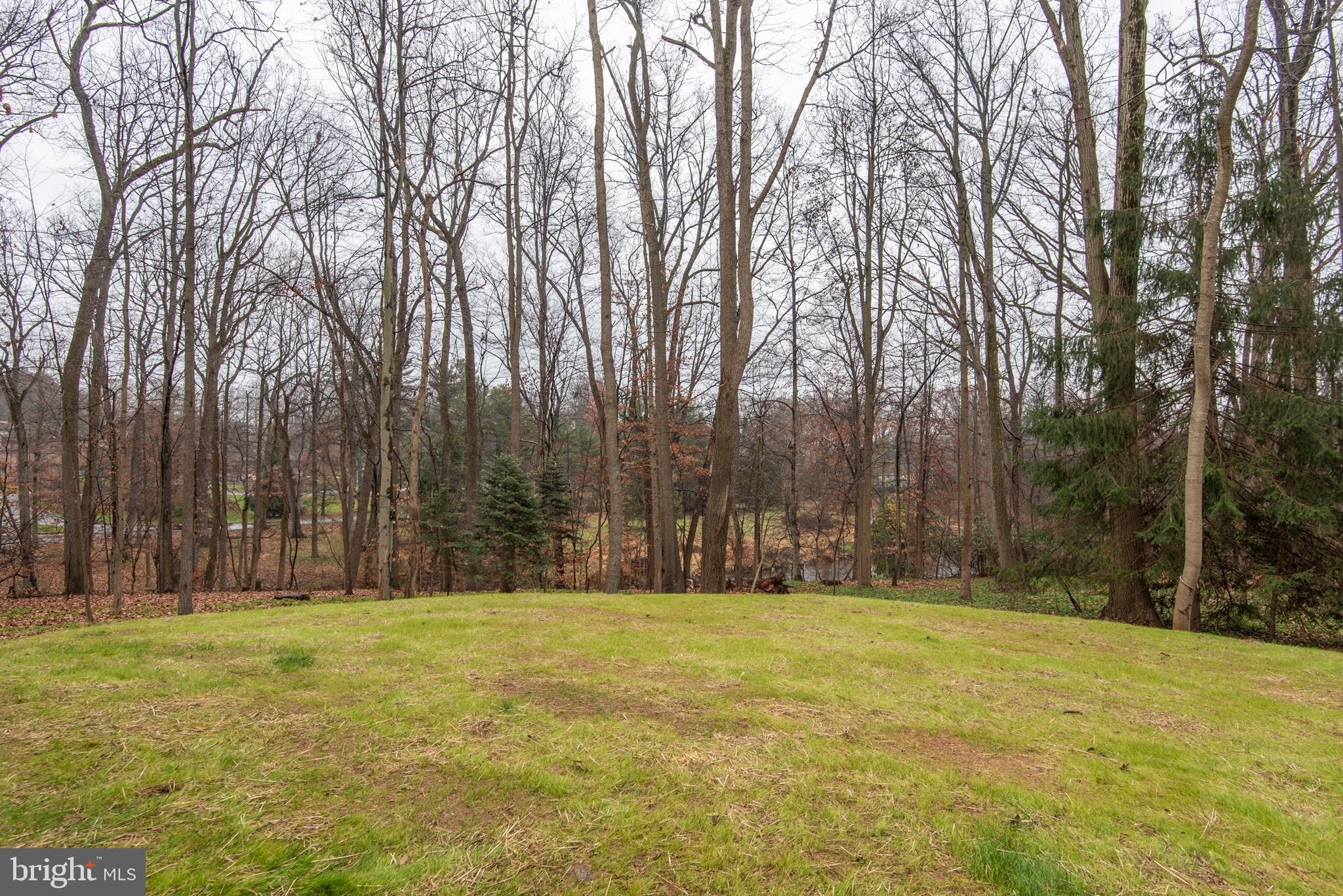 10 Crestline Road Wayne, PA 19087 - Photo 14 of 63 Rear View