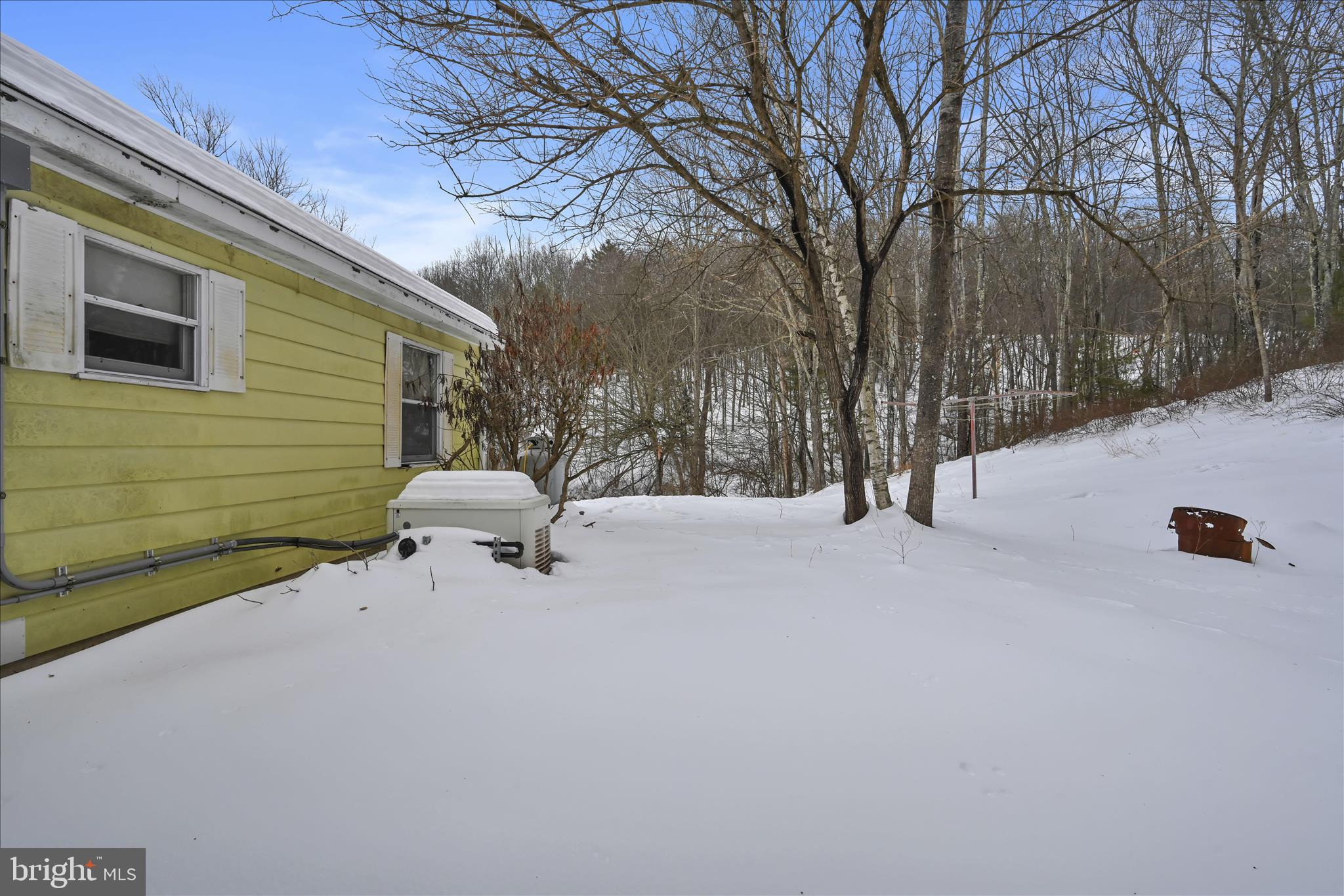 283 Pleasant Valley Road New Ringgold, PA 17960 - Photo 26 of 36 Backyard