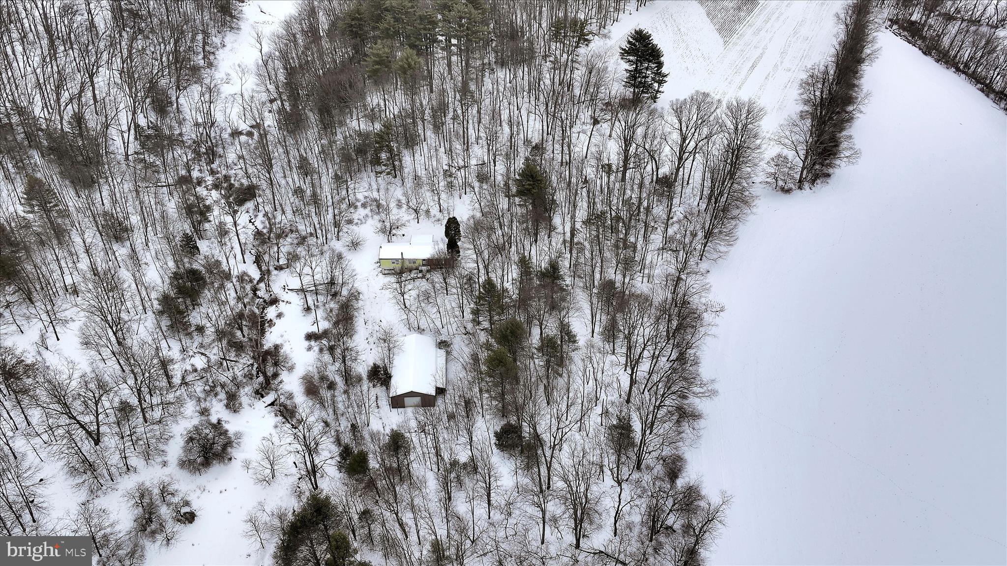 283 Pleasant Valley Road New Ringgold, PA 17960 - Photo 29 of 36 Aerial