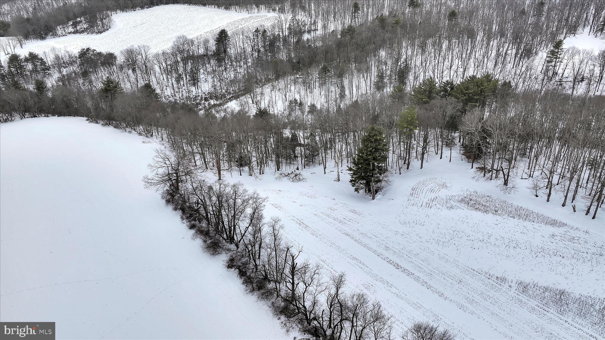 283 Pleasant Valley Road New Ringgold, PA 17960 - Photo 30 of 36 Aerial