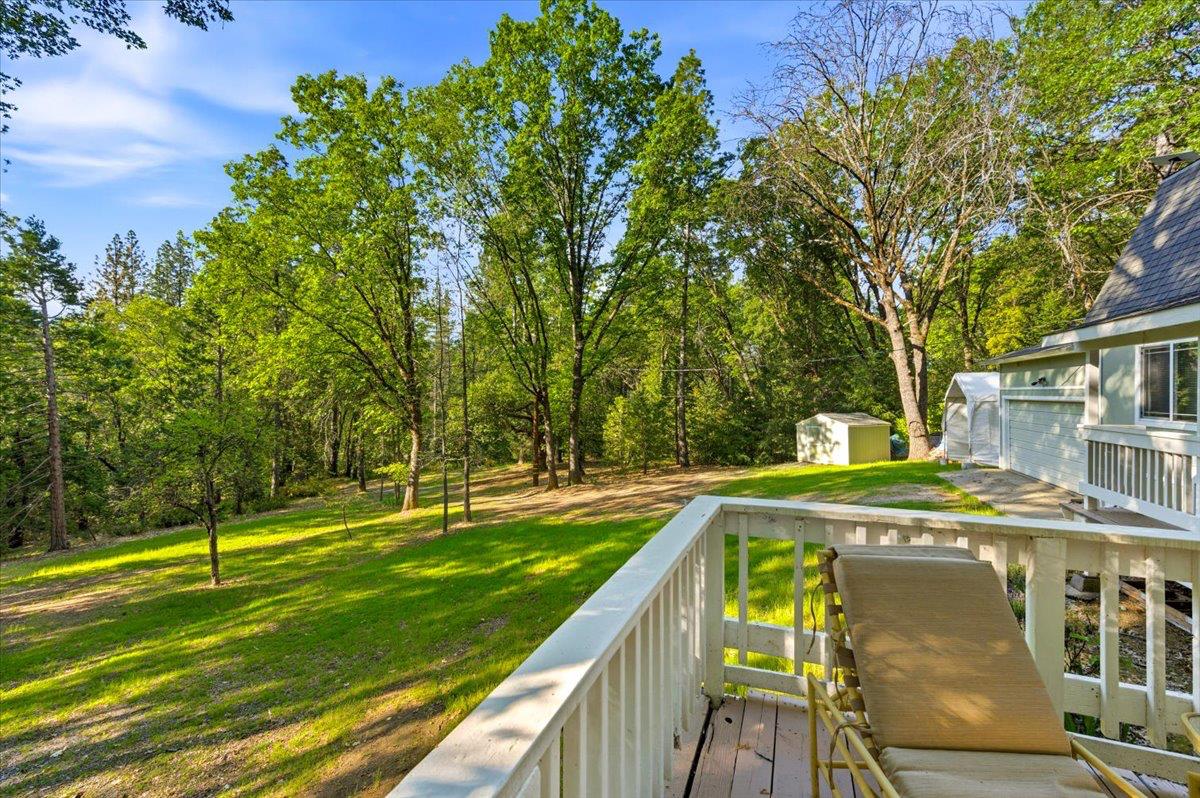 19961 New Rome Road Nevada City, CA 95959 - Photo 30 of 45 Tree clearance around home