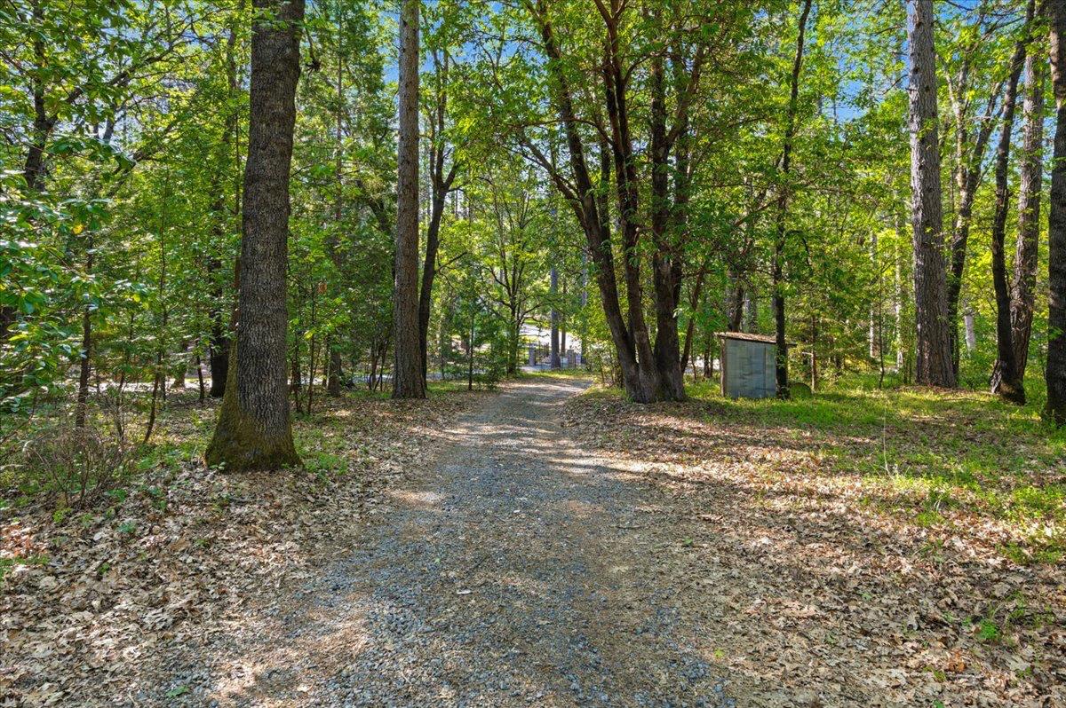 19961 New Rome Road Nevada City, CA 95959 - Photo 40 of 45