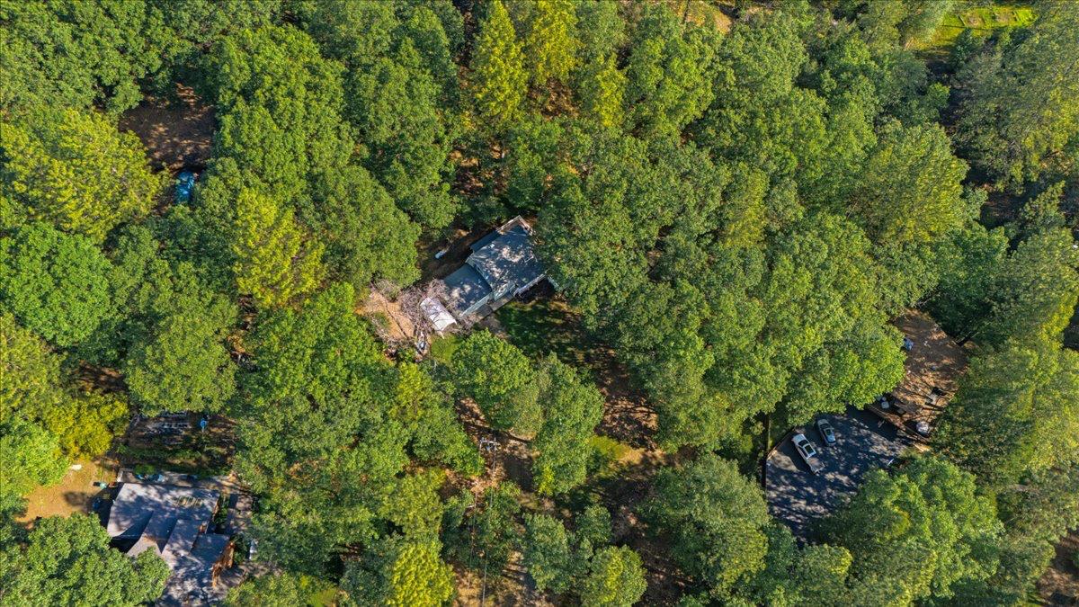 19961 New Rome Road Nevada City, CA 95959 - Photo 43 of 45