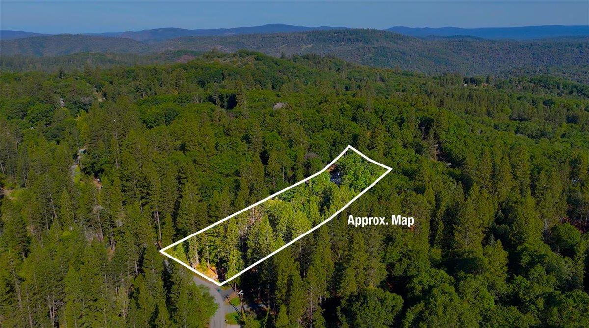 19961 New Rome Road Nevada City, CA 95959 - Photo 44 of 45