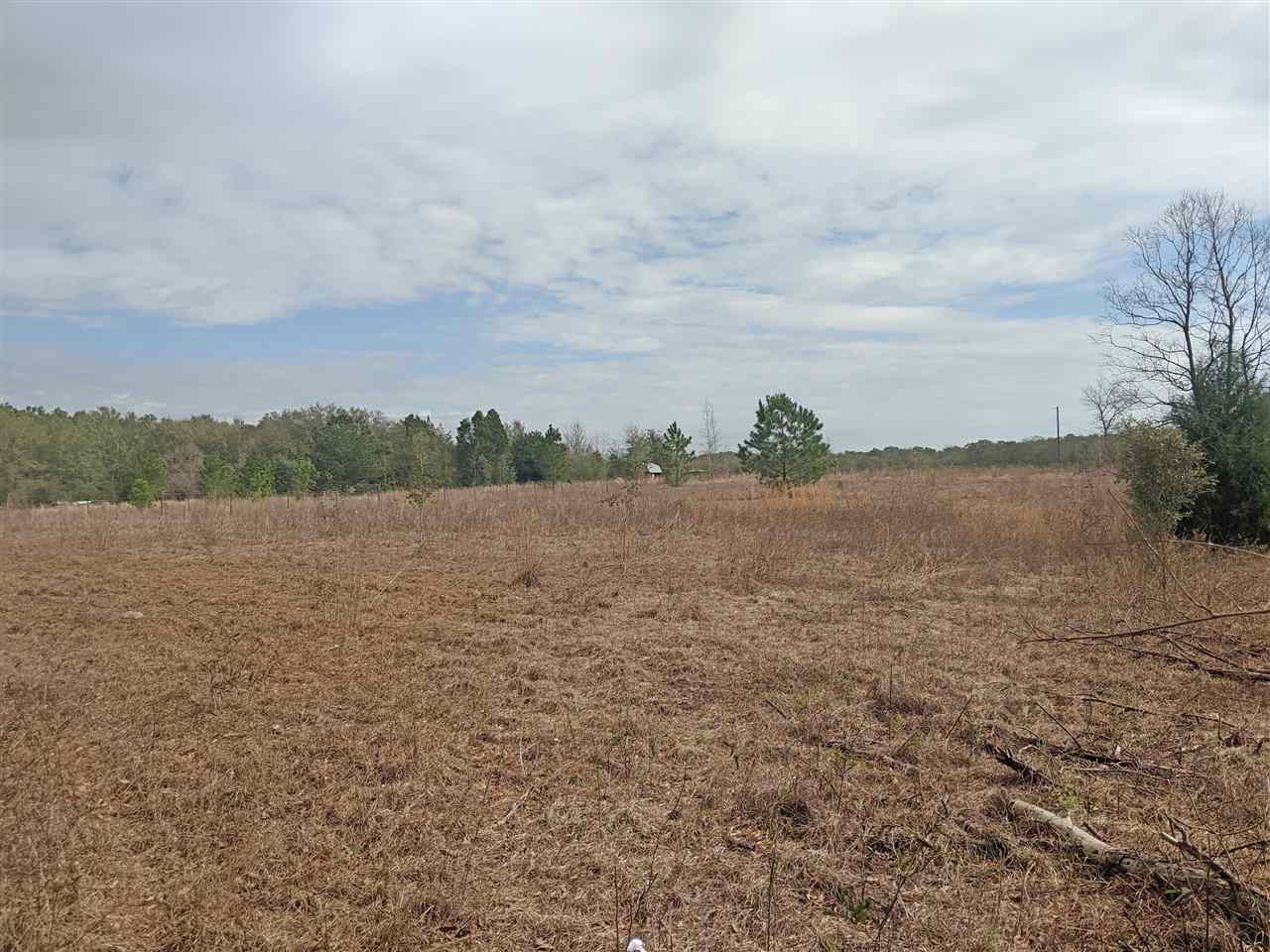 5244 Northeast Hickory Grove Road Pinetta, FL 32350 - Photo 1 of 23 Gallery Image 1