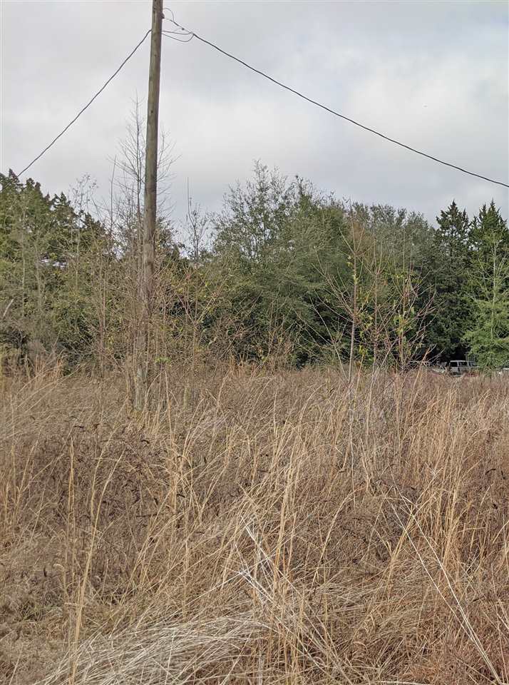 5244 Northeast Hickory Grove Road Pinetta, FL 32350 - Photo 11 of 23 Gallery Image 11