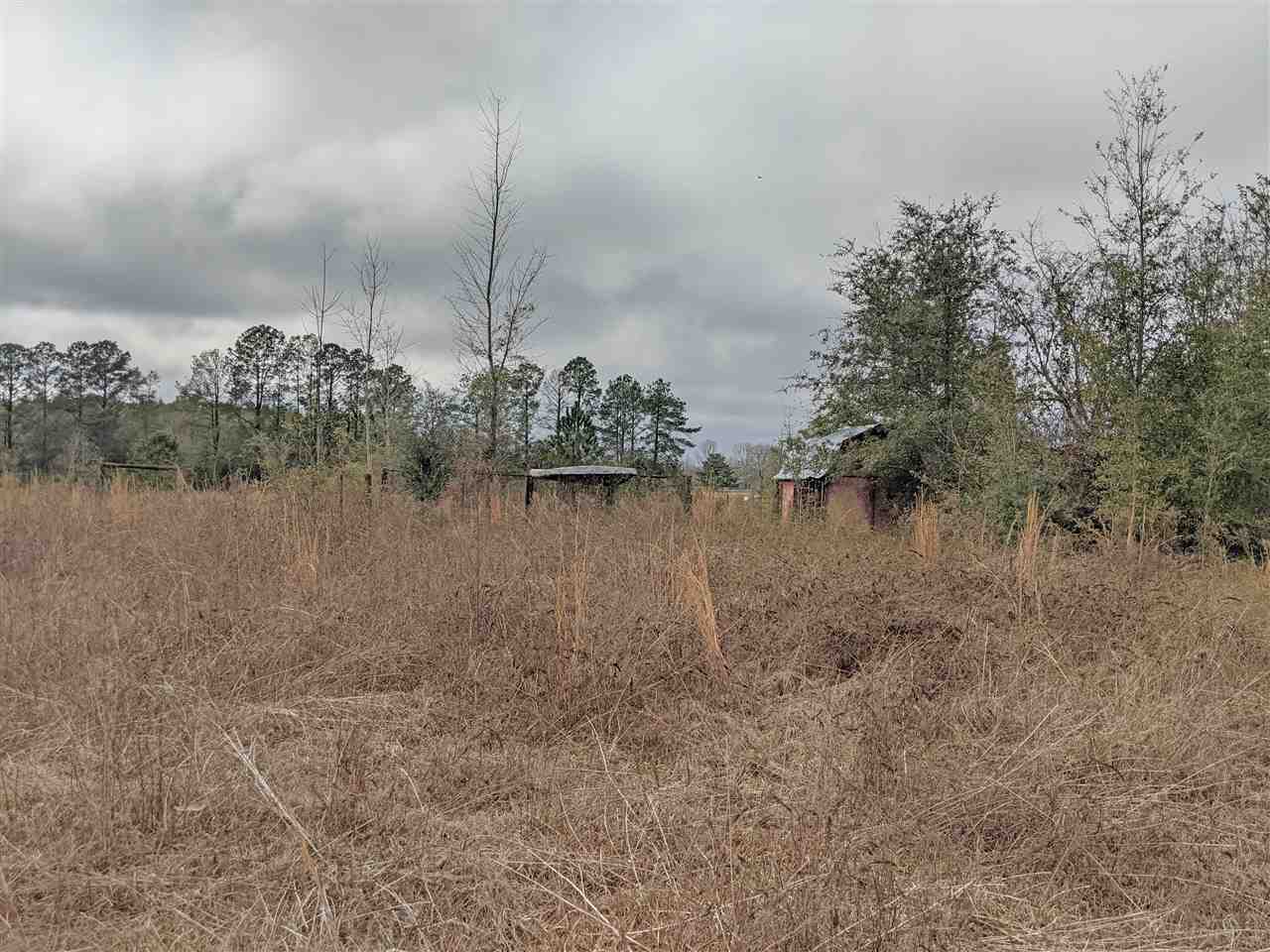 5244 Northeast Hickory Grove Road Pinetta, FL 32350 - Photo 12 of 23 Gallery Image 12