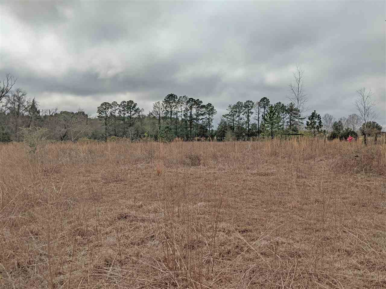 5244 Northeast Hickory Grove Road Pinetta, FL 32350 - Photo 14 of 23 Gallery Image 14