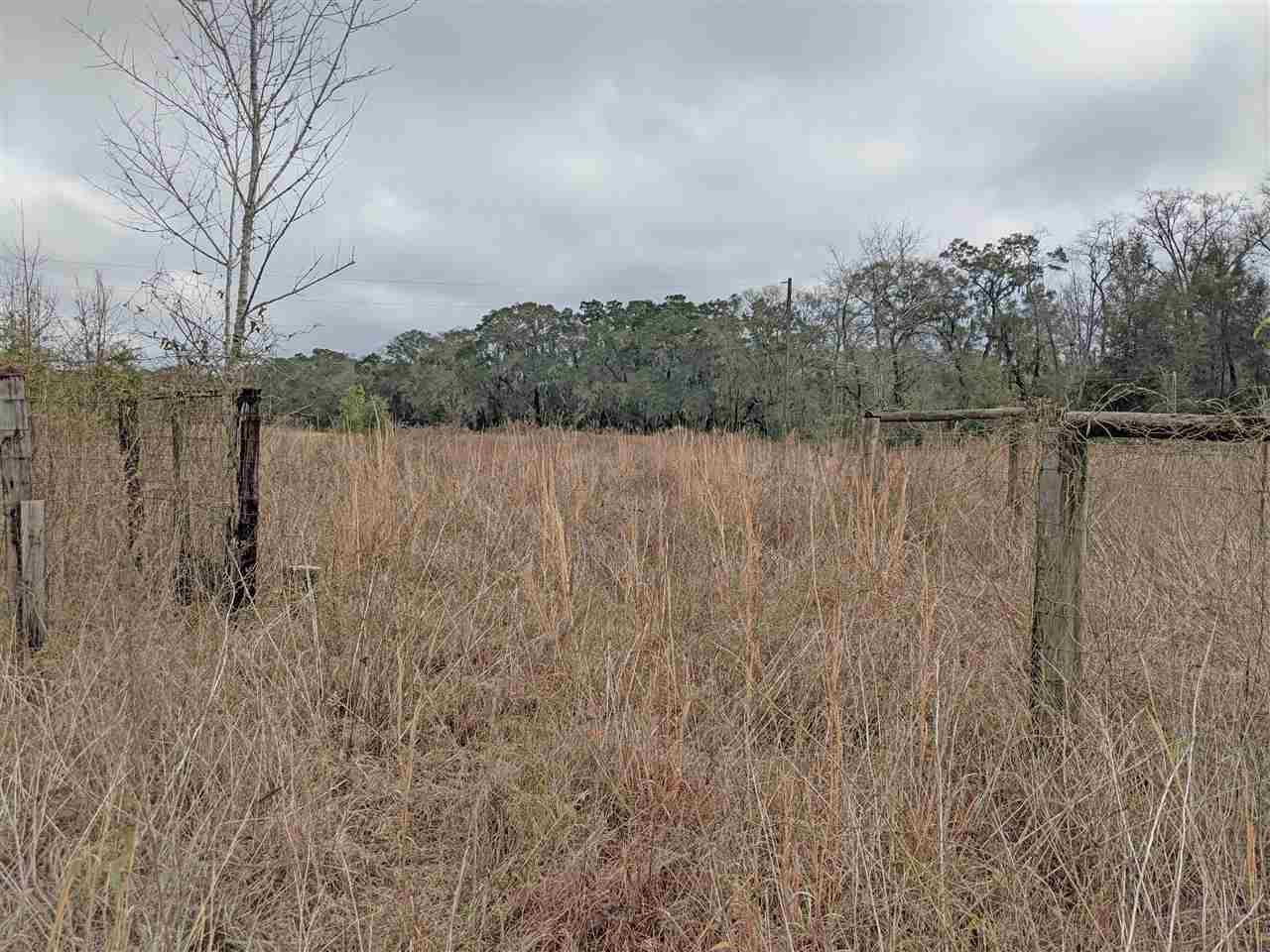 5244 Northeast Hickory Grove Road Pinetta, FL 32350 - Photo 16 of 23 Gallery Image 16