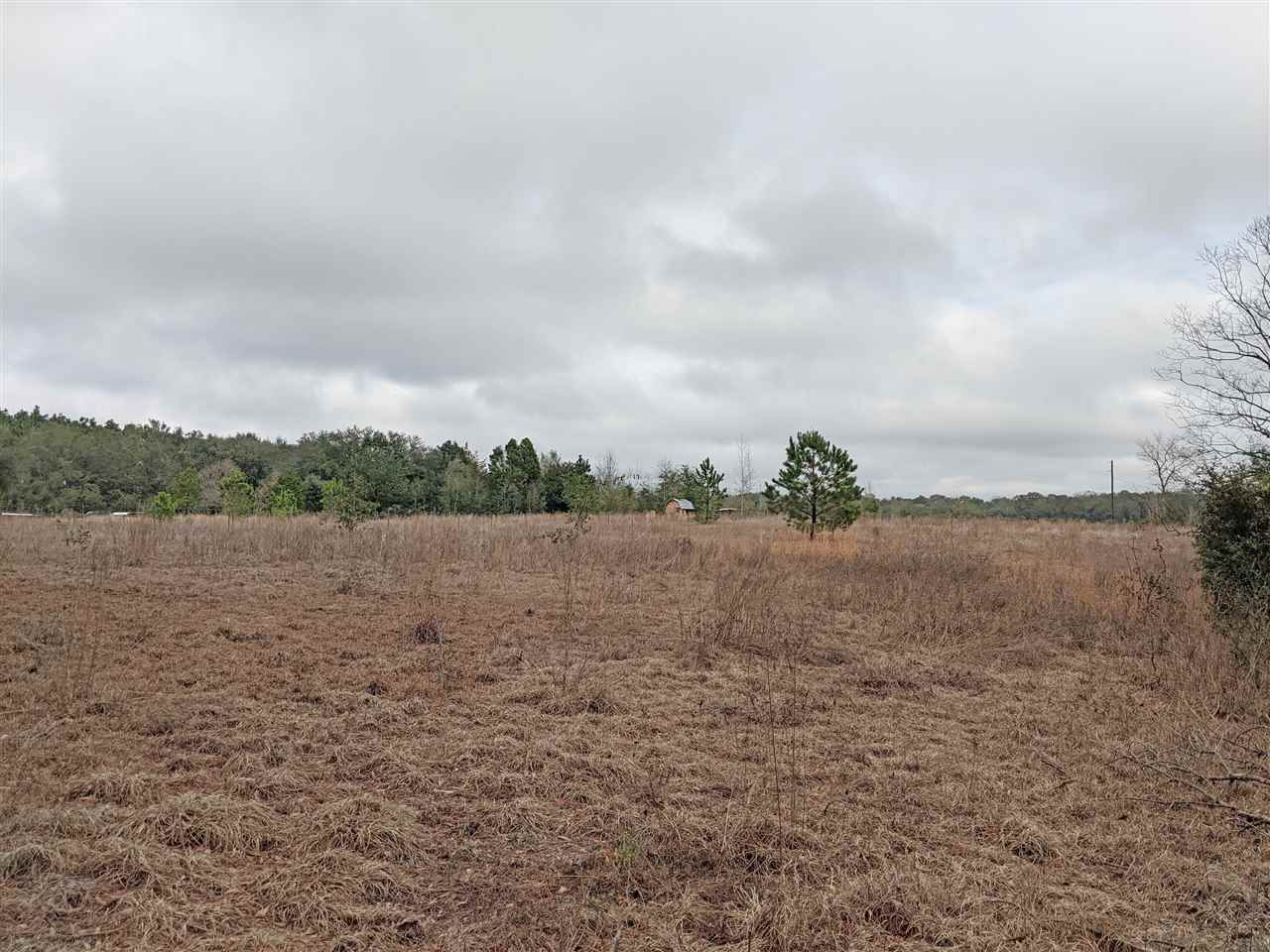 5244 Northeast Hickory Grove Road Pinetta, FL 32350 - Photo 22 of 23 Gallery Image 22