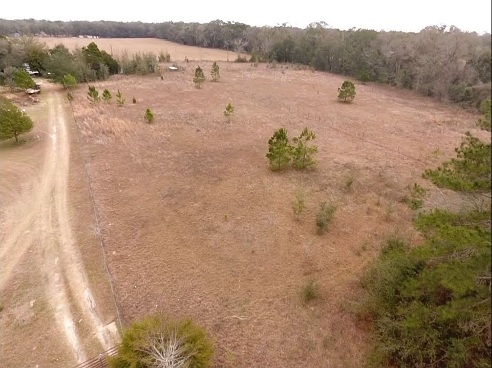 5244 Northeast Hickory Grove Road Pinetta, FL 32350 - Photo 23 of 23 Gallery Image 23